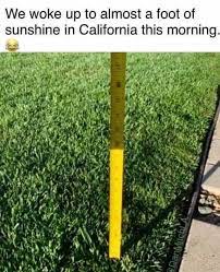 25+ best memes about ray of sunshine | ray of sunshine memes. Dopl3r Com Memes We Woke Up To Almost A Foot Of Sunshine In California This Morning Danmitchl