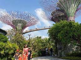 gardens by the bay ticket how to save