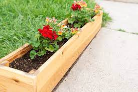 Cedar Raised Garden Beds