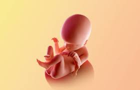 18 Weeks Pregnant Symptoms Ultrasound More