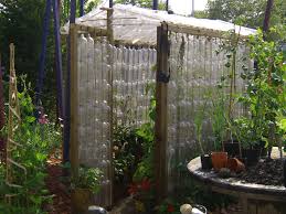 a greenhouse using plastic bottles