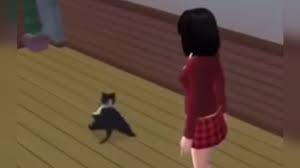 Sims breakdancing cat