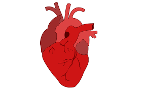 heart transplantŸ