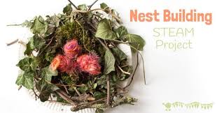 Make A Birds Nest STEAM Project - Kids Craft Room