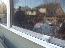 window repair denver s r window and