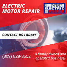 professional electric motor repair inc