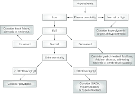 Flowchart Of The Diagnostic Work Up For Hyponatremia
