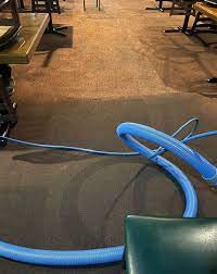 carpet cleaning services in palatine