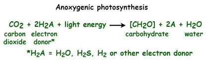Photosynthesis Formula Properties