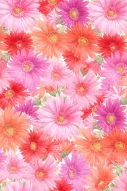 beautiful flowers background flower