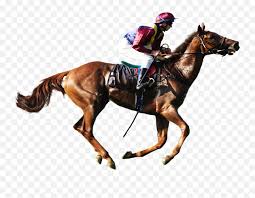 File me milne wali png background race 3 poster background. Horse Racing Transparent Background Png Horse Racing Png Free Transparent Png Images Pngaaa Com