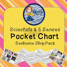 Scientists And 5 Senses Sentence Builders Pocket Chart Set