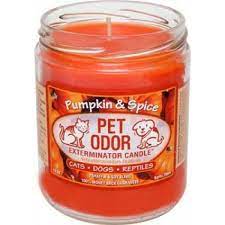Gerrard larriett pet odor eliminator candle. Pet Odor Exterminator Candles 28 Great Fragrances