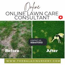 Natural Lawn And Garden Care Services