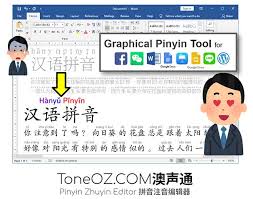 chinese characters in microsoft word