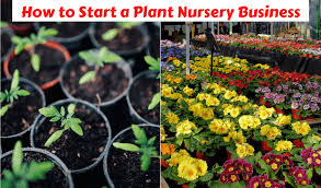 Plant Nursery Business Plan Complete