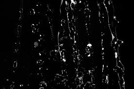 black abstract beautiful stock photo