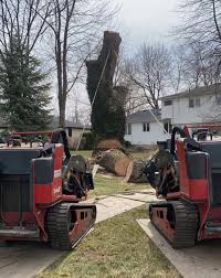 We also charge you a fee of $300* per inch of diameter of the tree. Tree Removal Services Woodchuck Tree Service