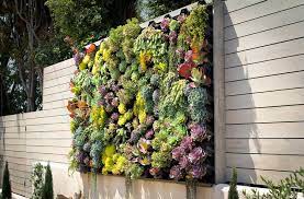 Bosler Earth Design Succulent Greenwall