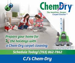 carpet cleaning in anoka hennepin