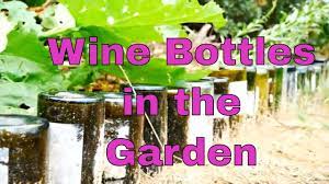 how to make a wine bottle garden border
