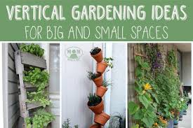 Diy Vertical Gardening Ideas Tips