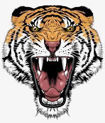 tiger face transpa png tiger