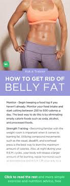 belly fat and get a six pack
