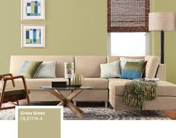 Dulux Living Room Paint Colours