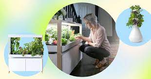 7 Indoor Gardening Systems To In