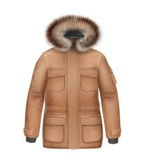 Vector Brown Sport Winter Coat With Fur