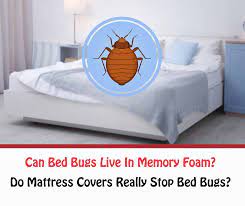 can bed bugs live in memory foam
