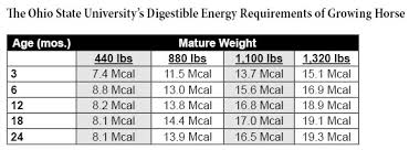 introduction to nutrition for horses