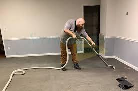 mold removal from carpets