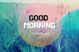 Download these good morning blessings images for free. 60 Amazing Good Morning Images For Whatsapp Download 2021 Daily Wishes