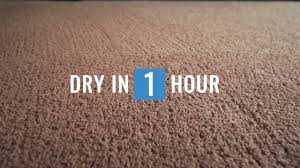 heaven s best carpet cleaning of