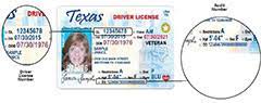 commercial driver license or id card