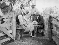 Image result for in which country did the wool industry grow strong