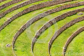Fajalah Kinara Incan Agriculture Inca Agriculture