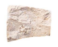 limestone identification pictures
