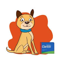 Claritin For Dogs Yes Or No Simple Wag
