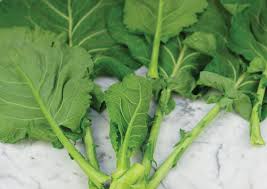 The Top 10 Most Delicious Kale Varieties For Leafy Green