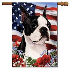 Boston Terrier Flag Patriotic Flowers