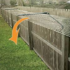 We provide secure cat fencing to help keep cats safe in their gardens and others out so your cat can enjoy the freedom of the outdoors. Purrfect Fence Experts In Keeping Cats Safe Happy Outdoors
