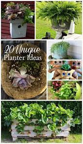 Unique Container Gardening Ideas