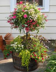 Old Barrel For Planting Flowers