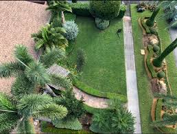 South Florida Landscaping Services