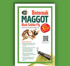 Belakangan banyak dimanfaatkan maggot dari lalat hermetia illucens (black soldier fly/bsf) untuk mengurai sampah. Agromedia Beternak Maggot Black Soldier Fly Agromedia