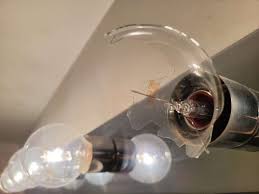 how to remove a broken lightbulb