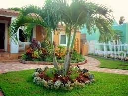 Palm Trees Landscaping